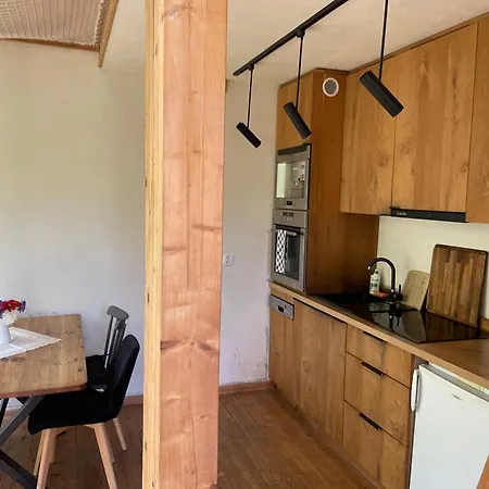 Biodomek تشوسزشنو