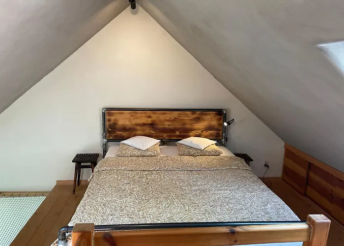 Biodomek Apartamento